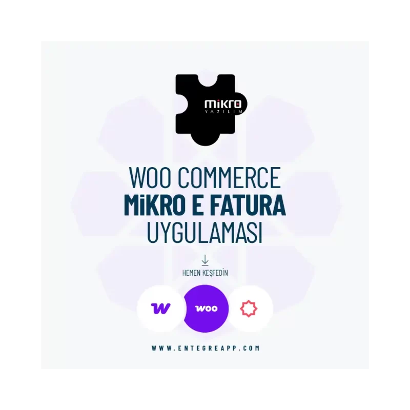 Woo Mikro E-Fatura